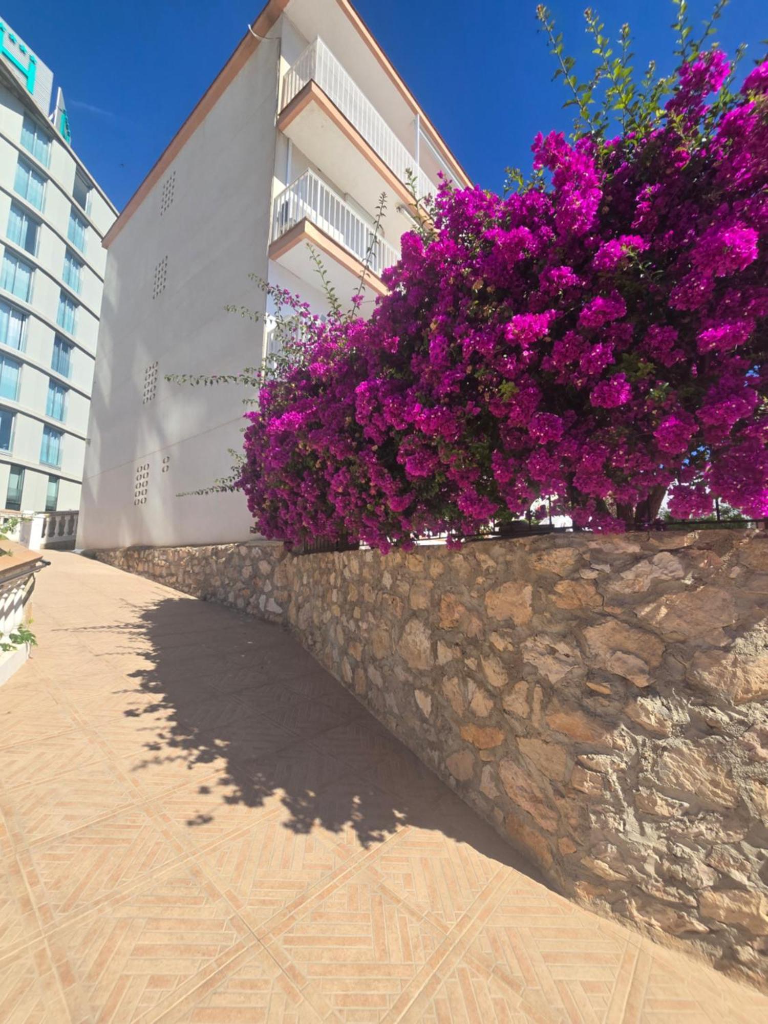 La Cantera Appartement Playa Peñíscola Dış mekan fotoğraf